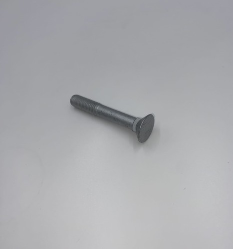 IMG_6568.jpeg
