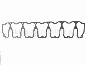Uszczelka 04198969 DEUTZ-FAHR