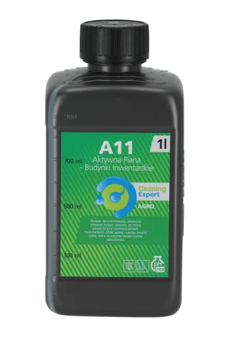 A11.jpg
