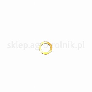 Pierścień uszczelniający 18.2x24x1.5 2.1560.014.0 SDF PARTS