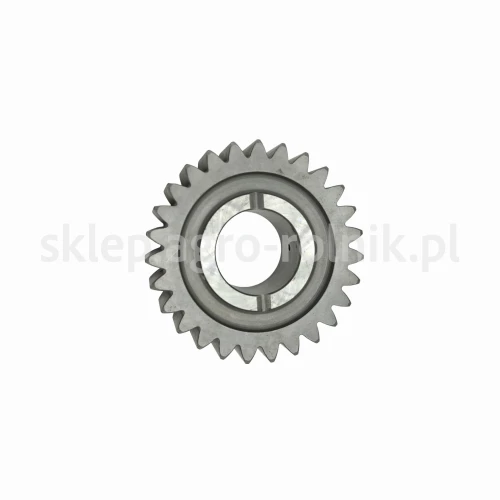 A44_0.255.4644.0.20.jpg
