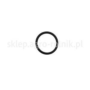 Oring 23,81x2,62 2.1530.062.0 SDF PARTS