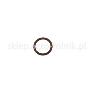 Pierścień uszczelniający 18.72x2.62 2.1531.048.0 SDF PARTS