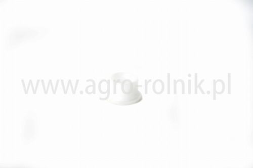 551102008.jpg