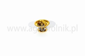 Termostat 2.7099.170.0/20 SDF PARTS
